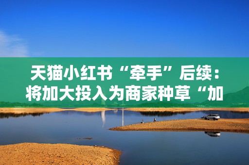 天猫小红书“牵手”后续：将加大投入为商家种草“加热”