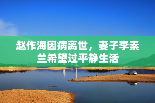 赵作海因病离世，妻子李素兰希望过平静生活