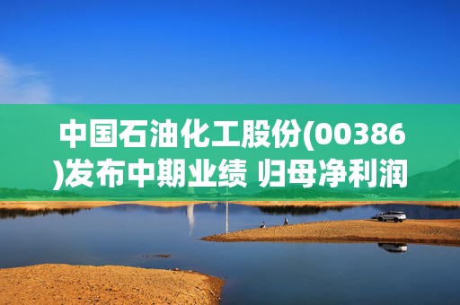 中国石油化工股份(00386)发布中期业绩 归母净利润357.03亿元 同比增加1.7% 国内油气当量产量创历史同期新高  第1张