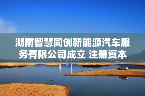 湖南智慧同创新能源汽车服务有限公司成立 注册资本200万人民币