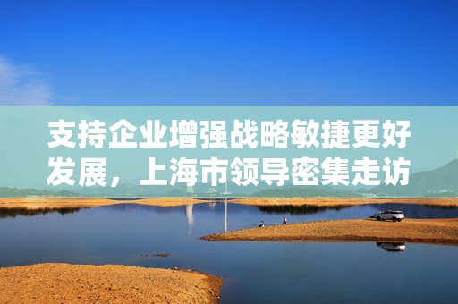 支持企业增强战略敏捷更好发展，上海市领导密集走访外贸外资企业