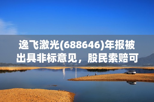 逸飞激光(688646)年报被出具非标意见，股民索赔可期  第1张