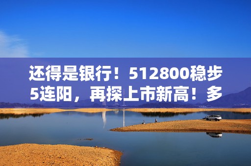 还得是银行！512800稳步5连阳，再探上市新高！多股续创历史，险资持续“爆买”