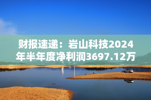 财报速递：岩山科技2024年半年度净利润3697.12万元  第1张