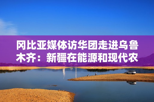 冈比亚媒体访华团走进乌鲁木齐：新疆在能源和现代农业领域很有借鉴意义