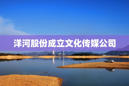 洋河股份成立文化传媒公司