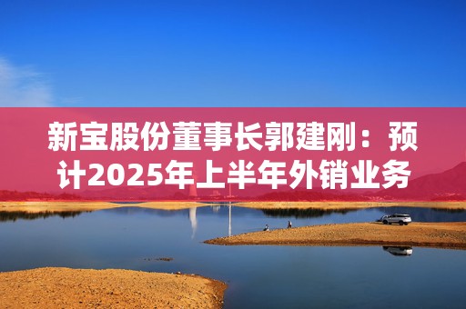 新宝股份董事长郭建刚：预计2025年上半年外销业务将保持稳定