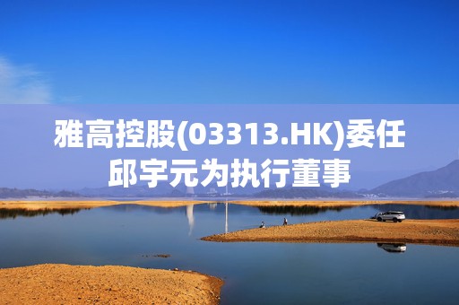 雅高控股(03313.HK)委任邱宇元为执行董事