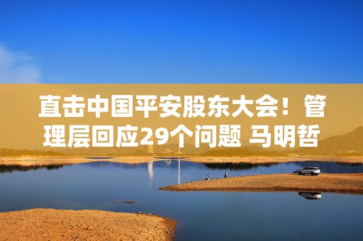 直击中国平安股东大会！管理层回应29个问题 马明哲发声！