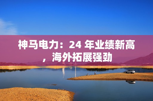 神马电力：24 年业绩新高，海外拓展强劲
