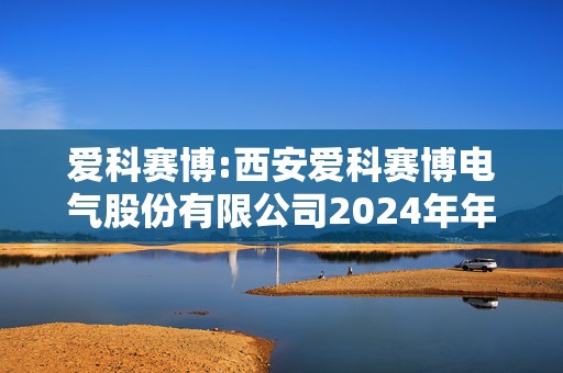 爱科赛博:西安爱科赛博电气股份有限公司2024年年度股东大会决议公告