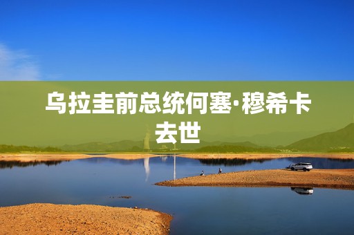 乌拉圭前总统何塞·穆希卡去世