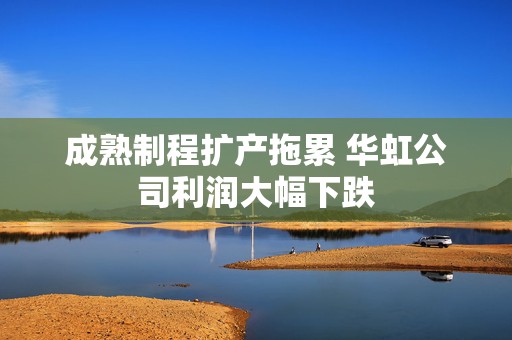 成熟制程扩产拖累 华虹公司利润大幅下跌