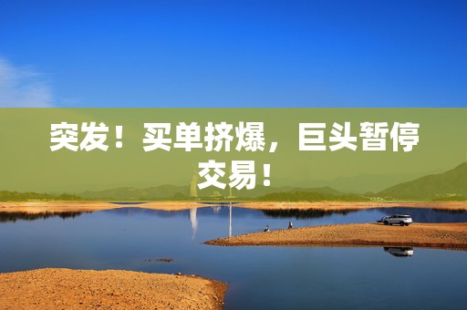 突发！买单挤爆，巨头暂停交易！