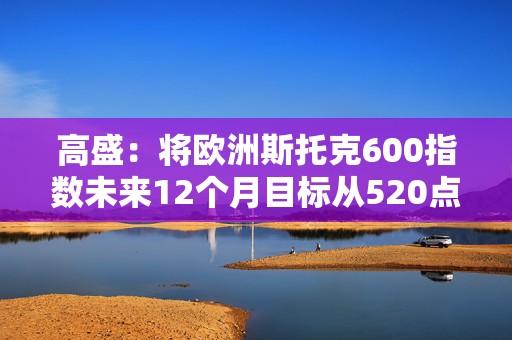 高盛：将欧洲斯托克600指数未来12个月目标从520点上调至570点