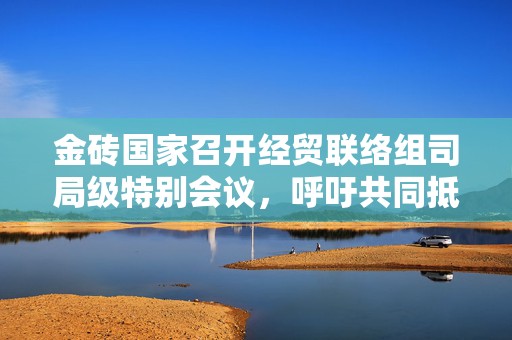 金砖国家召开经贸联络组司局级特别会议，呼吁共同抵制单边主义和贸易保护主义