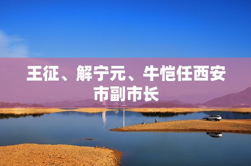 王征、解宁元、牛恺任西安市副市长