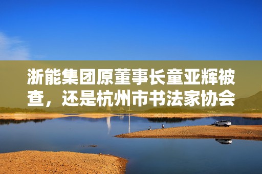浙能集团原董事长童亚辉被查，还是杭州市书法家协会主席