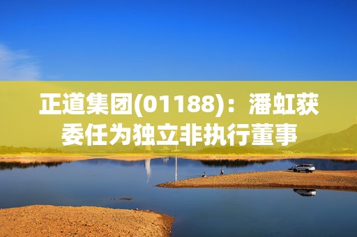 正道集团(01188)：潘虹获委任为独立非执行董事