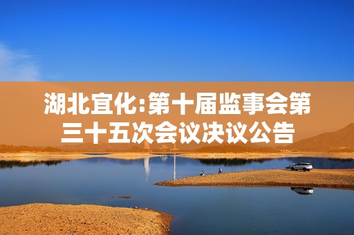 湖北宜化:第十届监事会第三十五次会议决议公告