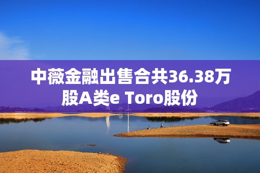 中薇金融出售合共36.38万股A类e Toro股份
