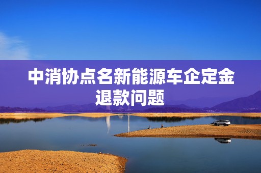 中消协点名新能源车企定金退款问题