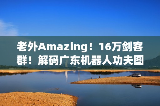 老外Amazing！16万剑客群！解码广东机器人功夫图谱