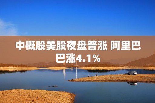 中概股美股夜盘普涨 阿里巴巴涨4.1%