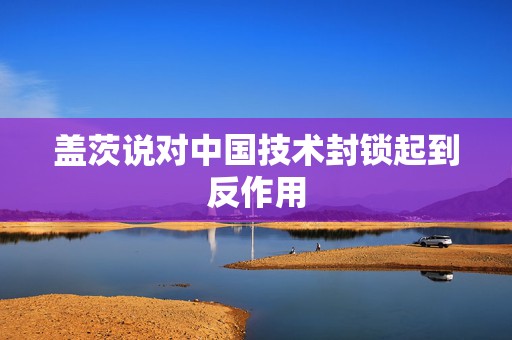 盖茨说对中国技术封锁起到反作用
