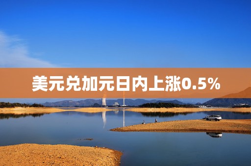 美元兑加元日内上涨0.5%  第1张