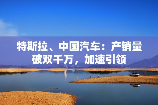 特斯拉、中国汽车：产销量破双千万，加速引领