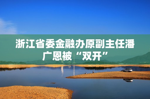浙江省委金融办原副主任潘广恩被“双开”