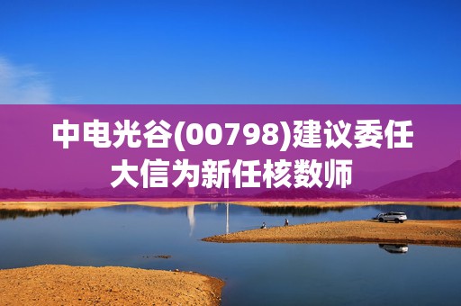 中电光谷(00798)建议委任大信为新任核数师