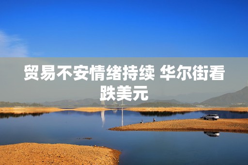 贸易不安情绪持续 华尔街看跌美元
