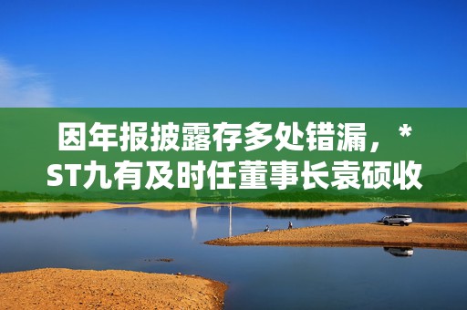 因年报披露存多处错漏，*ST九有及时任董事长袁硕收上交所监管警示函