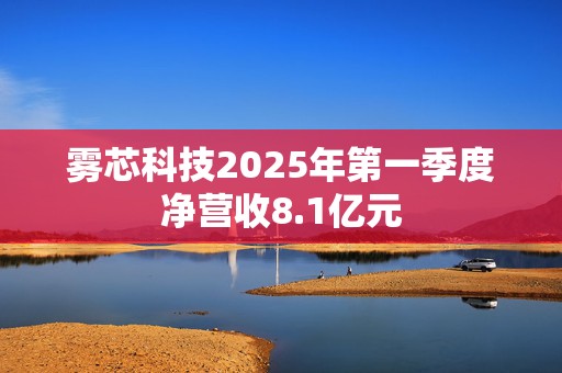 雾芯科技2025年第一季度净营收8.1亿元