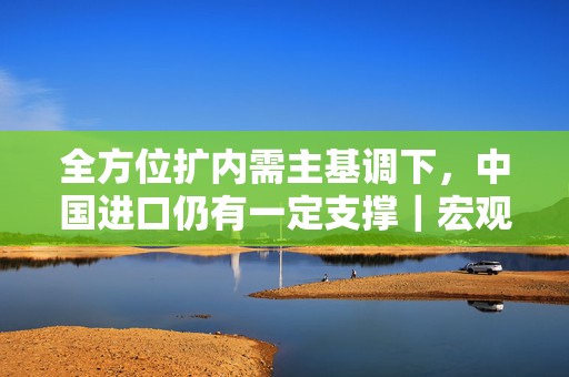全方位扩内需主基调下，中国进口仍有一定支撑｜宏观晚6点