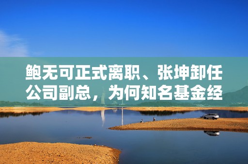 鲍无可正式离职、张坤卸任公司副总，为何知名基金经理今年变动频频？
