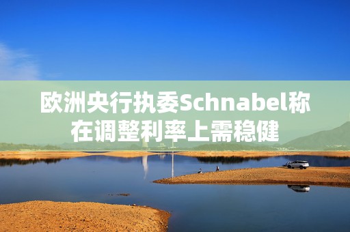 欧洲央行执委Schnabel称在调整利率上需稳健