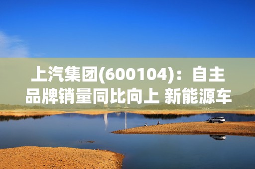 上汽集团(600104)：自主品牌销量同比向上 新能源车表现亮眼
