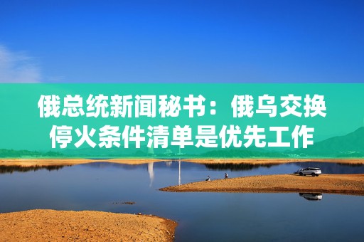 俄总统新闻秘书：俄乌交换停火条件清单是优先工作