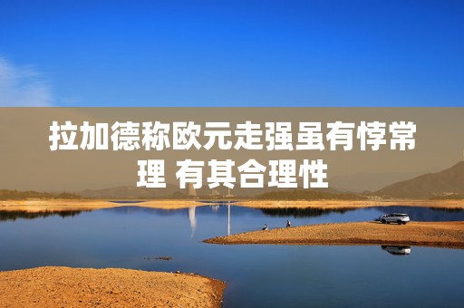 拉加德称欧元走强虽有悖常理 有其合理性