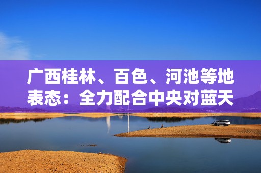 广西桂林、百色、河池等地表态：全力配合中央对蓝天立的审查调查
