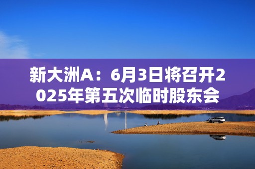 新大洲A：6月3日将召开2025年第五次临时股东会