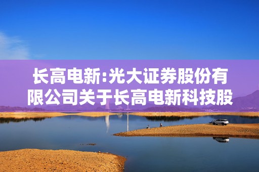长高电新:光大证券股份有限公司关于长高电新科技股份公司增加金洲生产基地三期项目投资规模的核查意见