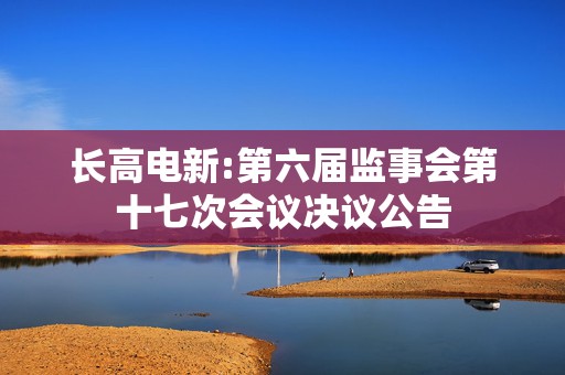 长高电新:第六届监事会第十七次会议决议公告