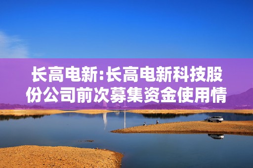 长高电新:长高电新科技股份公司前次募集资金使用情况鉴证报告