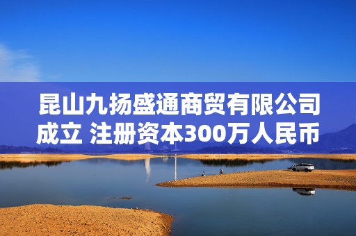 昆山九扬盛通商贸有限公司成立 注册资本300万人民币