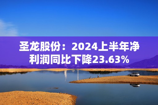 圣龙股份：2024上半年净利润同比下降23.63%