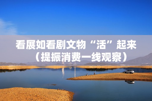看展如看剧文物“活”起来（提振消费一线观察）